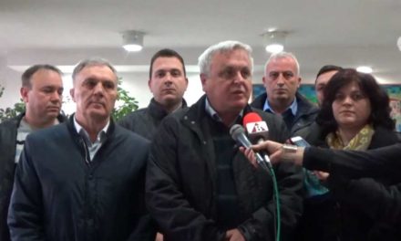 Советниците од власта го штитат криминалот со Пајак службата во Прилеп